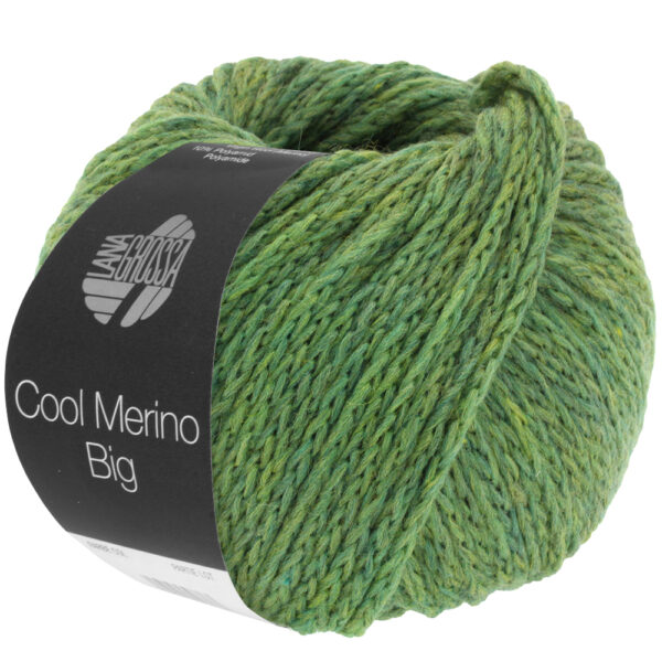 LG Cool Merino Big 204 Groen