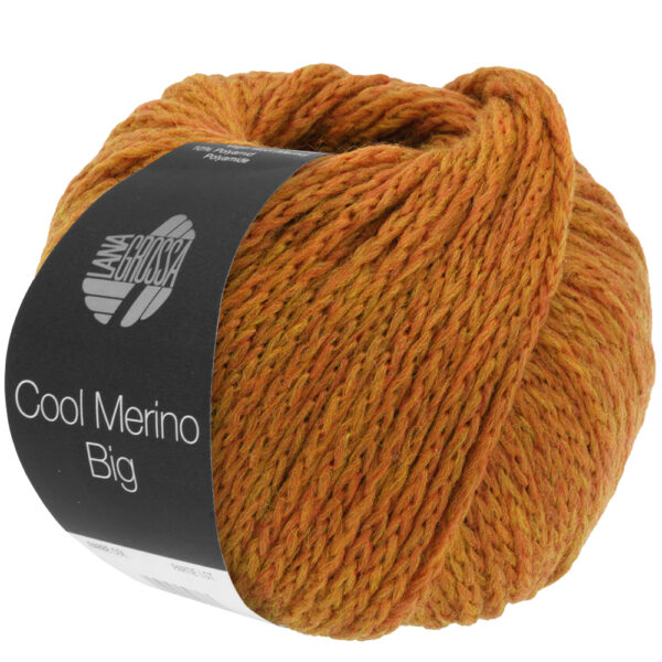 LG Cool Merino Big 213 Roest